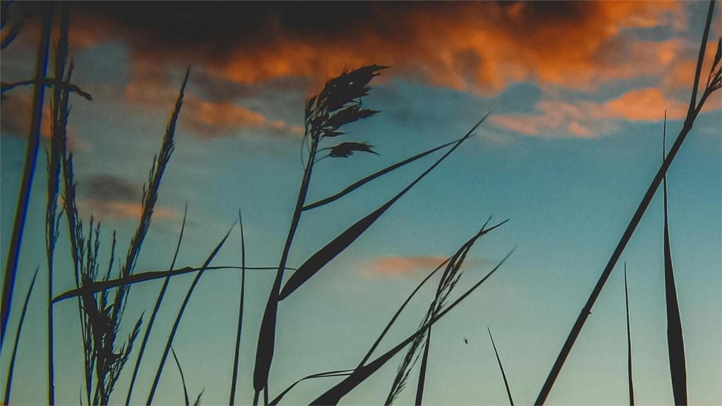 Foto 1 Alfa Romeo Giulia 2020